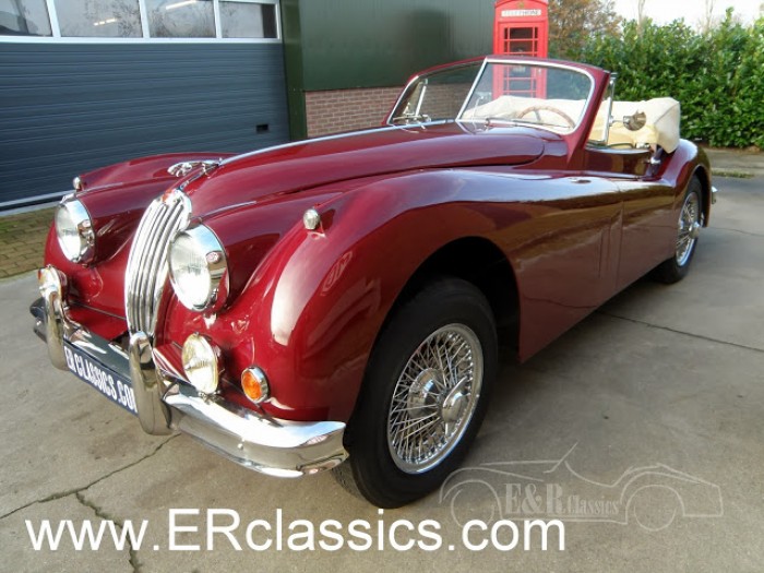 Jaguar 1954 kopen